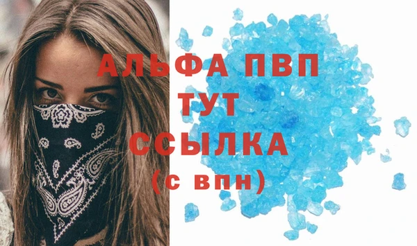 эйфоретик Беломорск