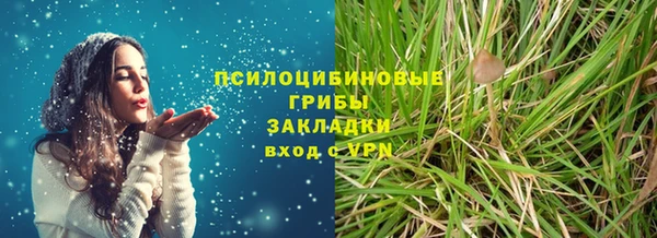 индика Болохово
