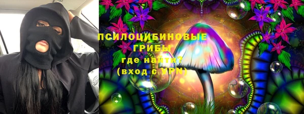 крисы Бородино