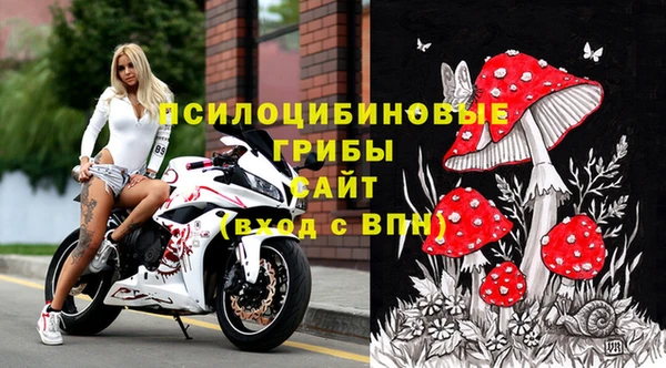 крисы Бородино