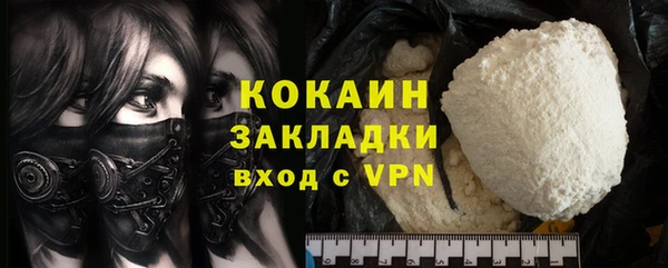 крисы Бородино
