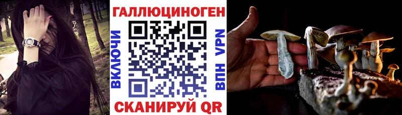 Псилоцибиновые грибы Psilocybe  Волгореченск 